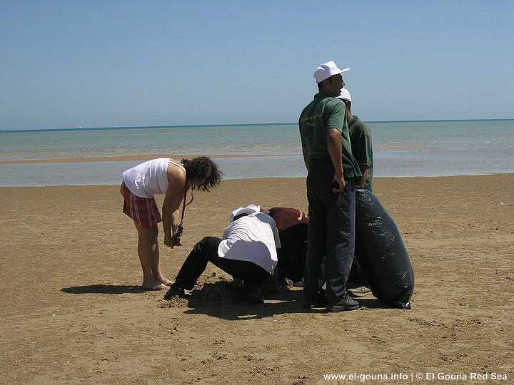 Green Gouna Day Beach 137